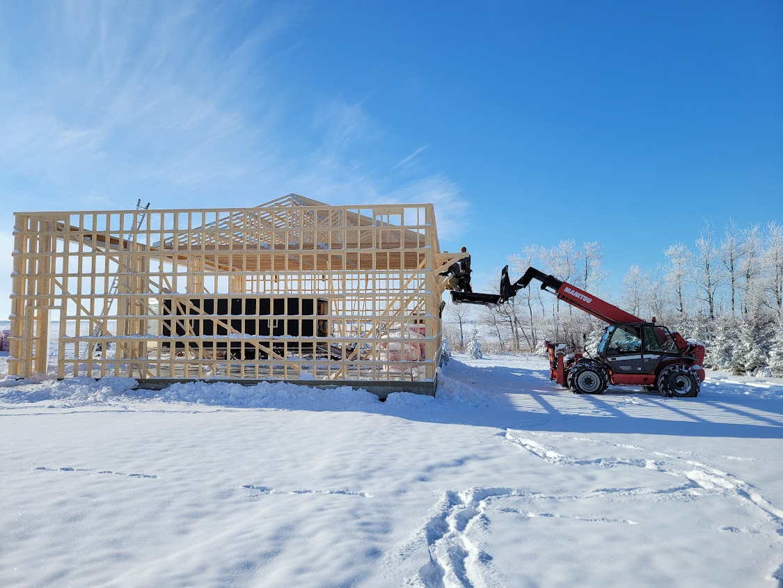 Images The Blue Spruce Builder