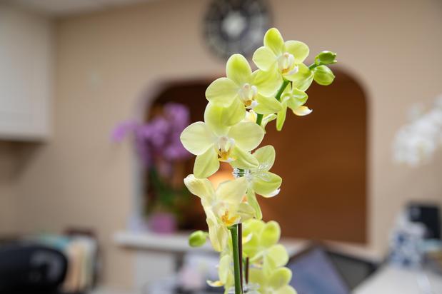Images Woodland Hills Family Dentistry