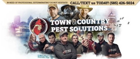 Images Town and Country Pest Solutions Inc