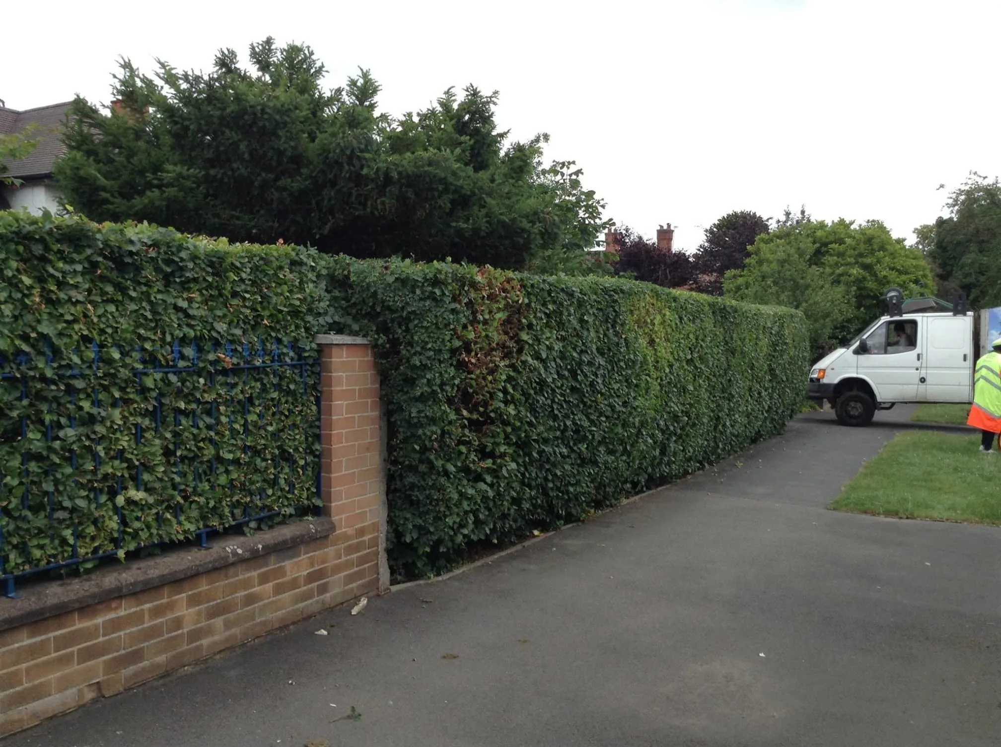 Images Poplar Tree Services Ltd