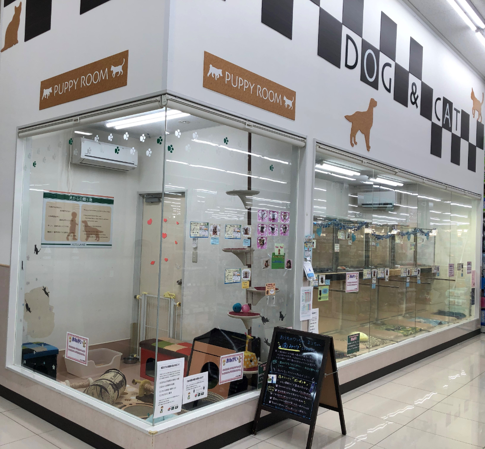 Images ペッツランド菊陽店