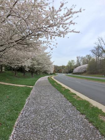 Images Holly Weatherwax, Momentum Realty
