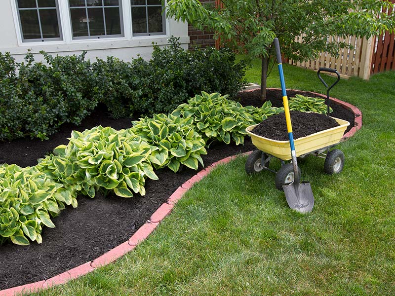 Images Sifuentes Construction & Landscaping Inc