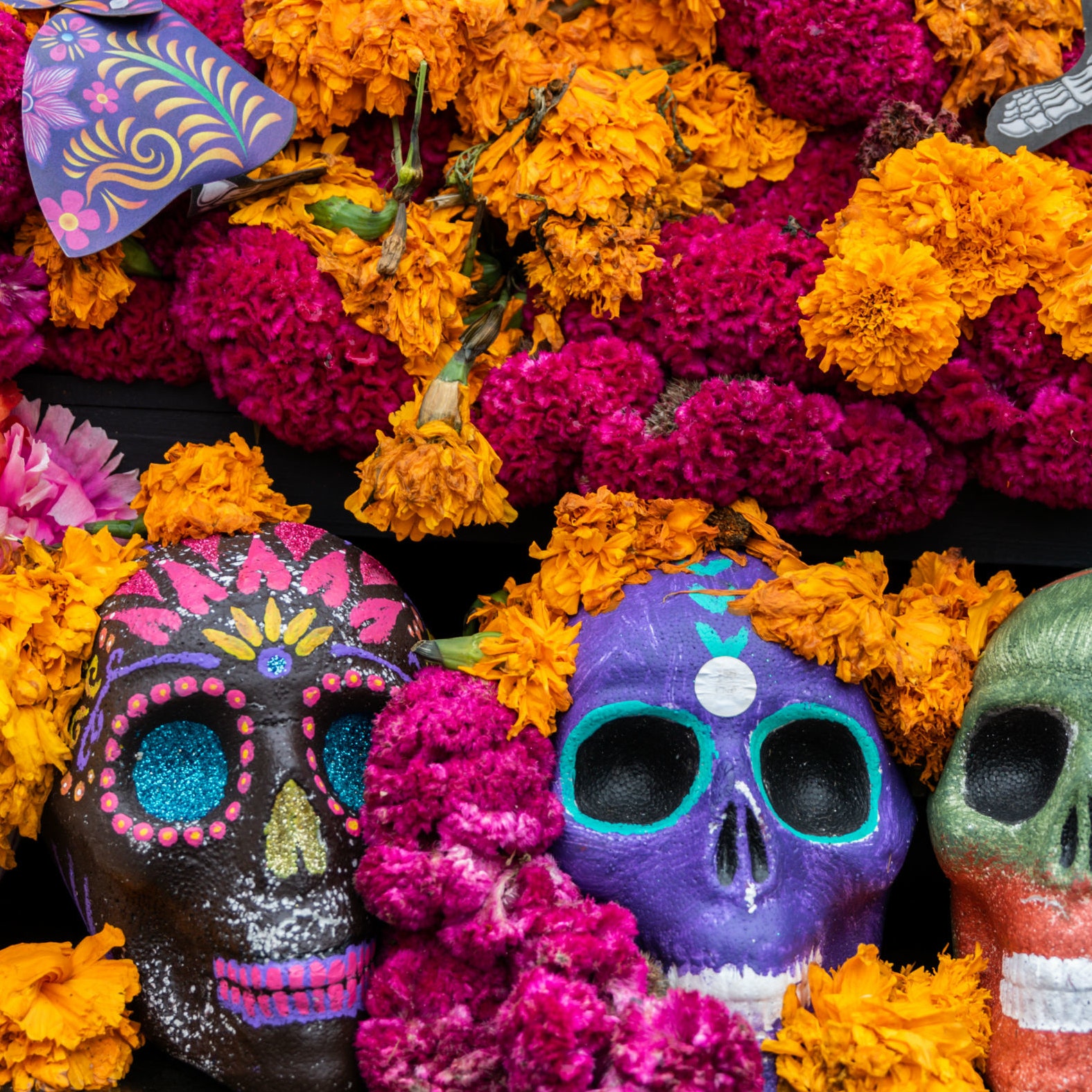 Bilder MIQUIZTLI - Cocina mexicana