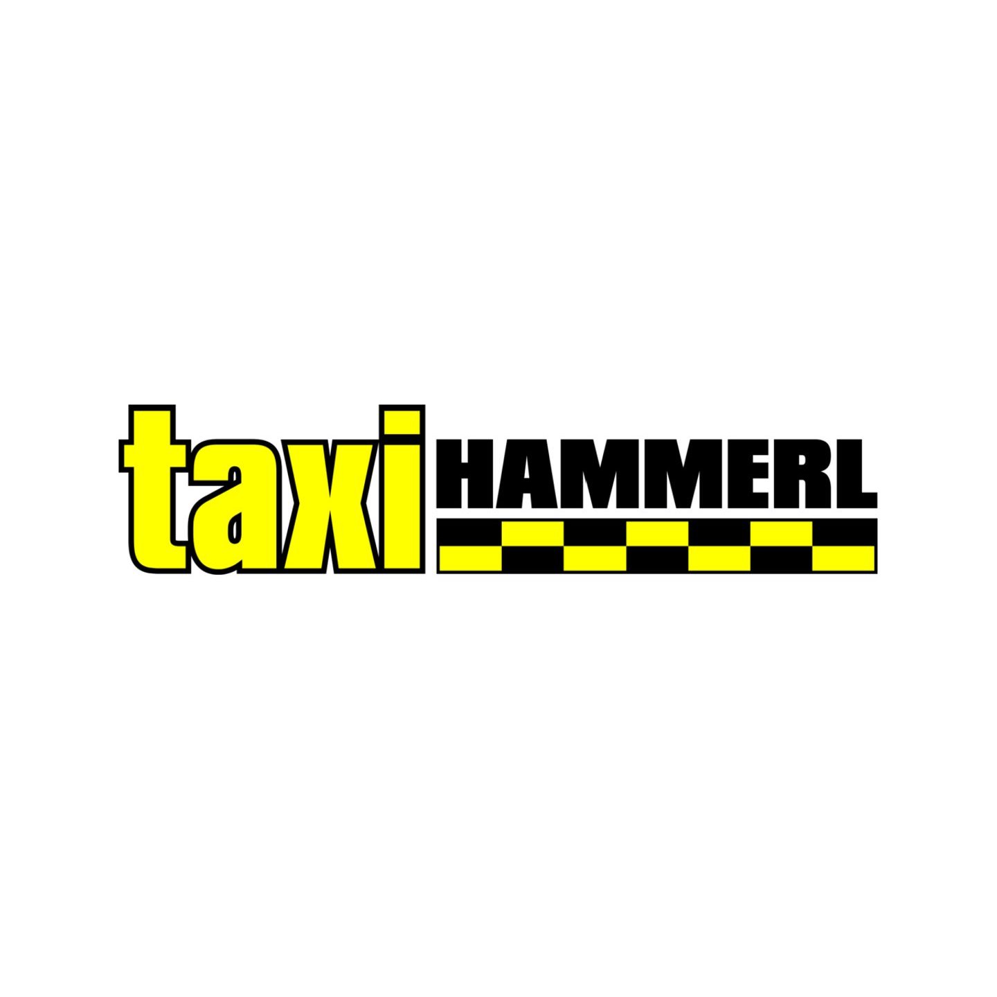 Taxiunternehmen Hammerl | Moosburg in Moosburg