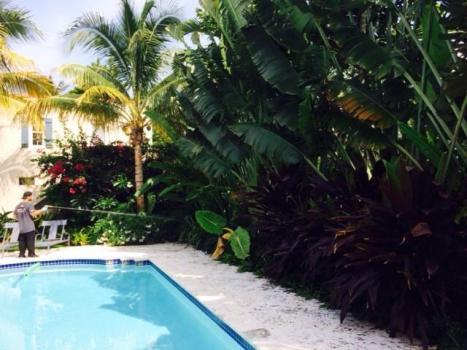 Rip Environmental Services of South Florida, Inc.