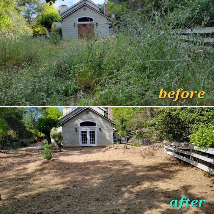 Images Xtreem Landscape LLC