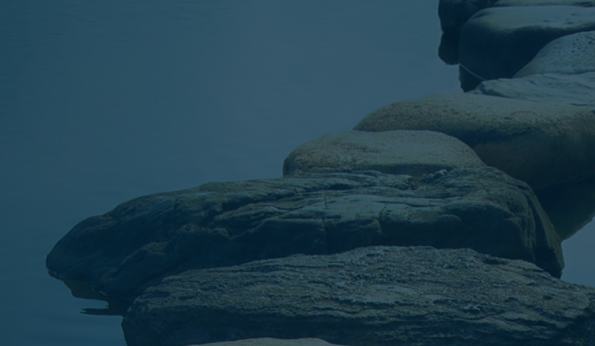 A path of large boulders running through a pond.