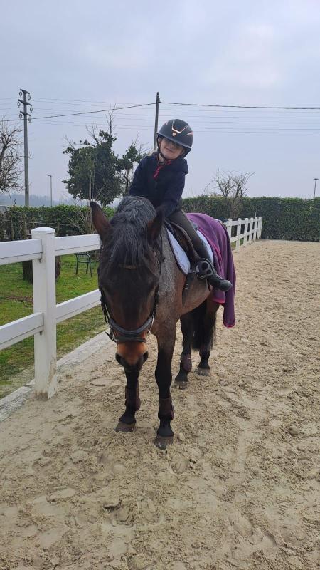 Images Asd Malpaga Equitazione