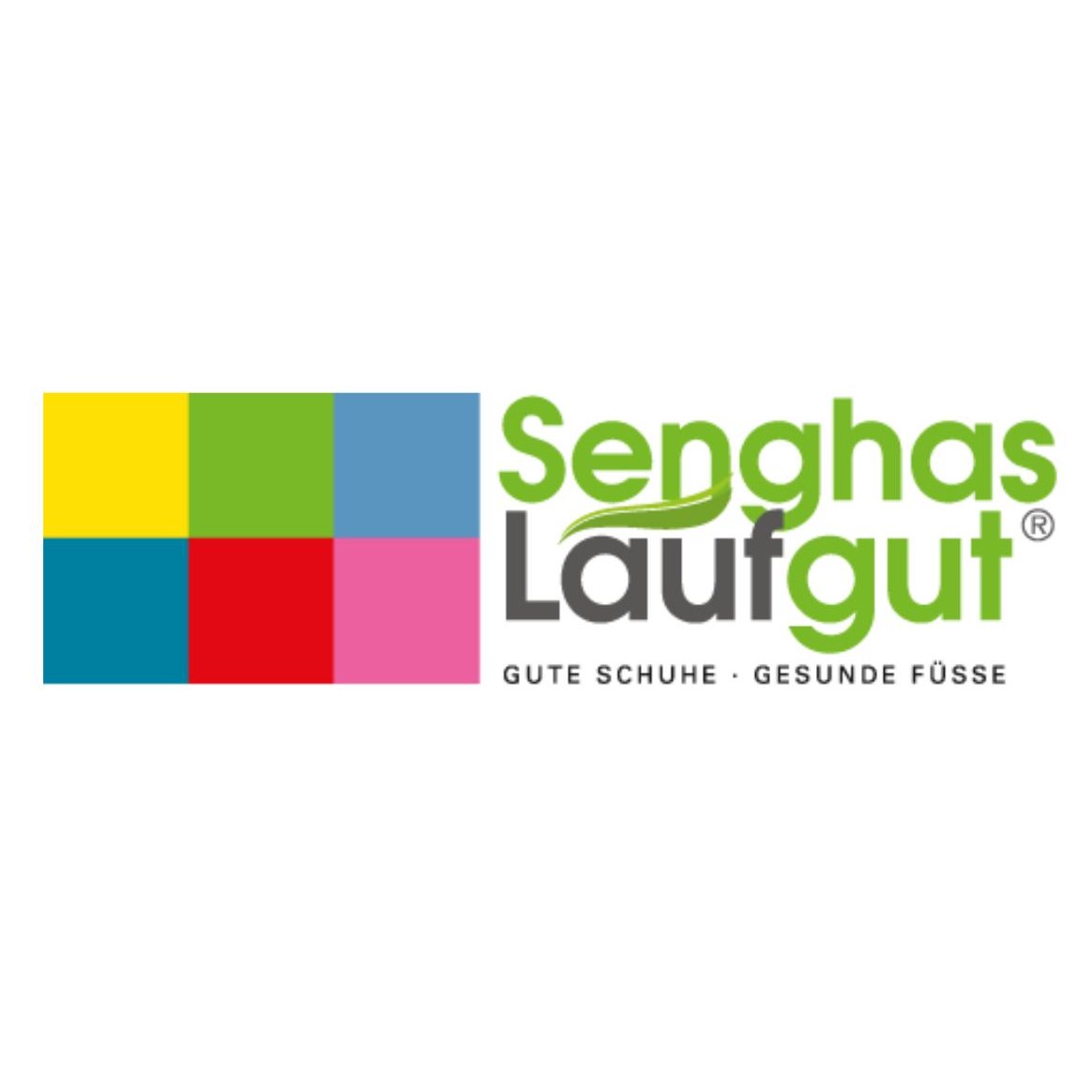 Senghas Laufgut Orthopädie - Schuhtechnik in Neuenstadt am Kocher - Logo