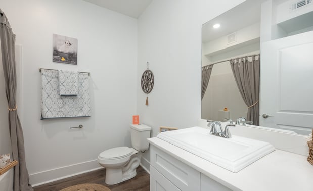 Images Paragon Luxury Apartments