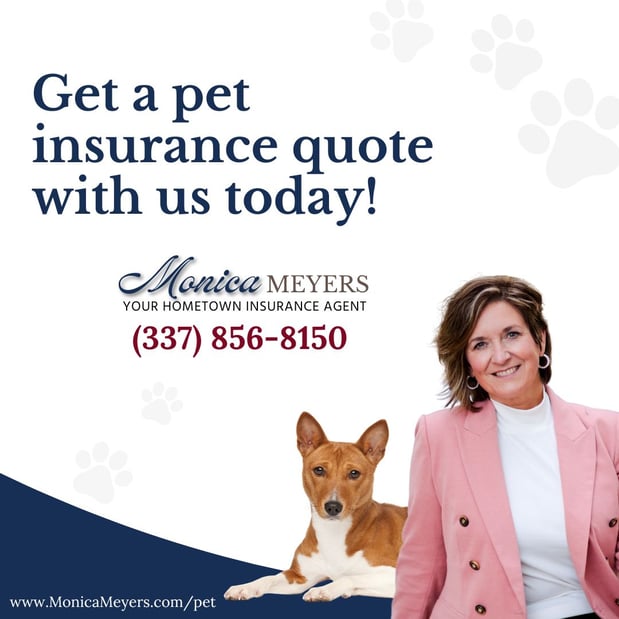Images Monica Meyers - State Farm Insurance Agent