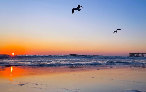 Images Margaritaville Beach Hotel Jacksonville Beach