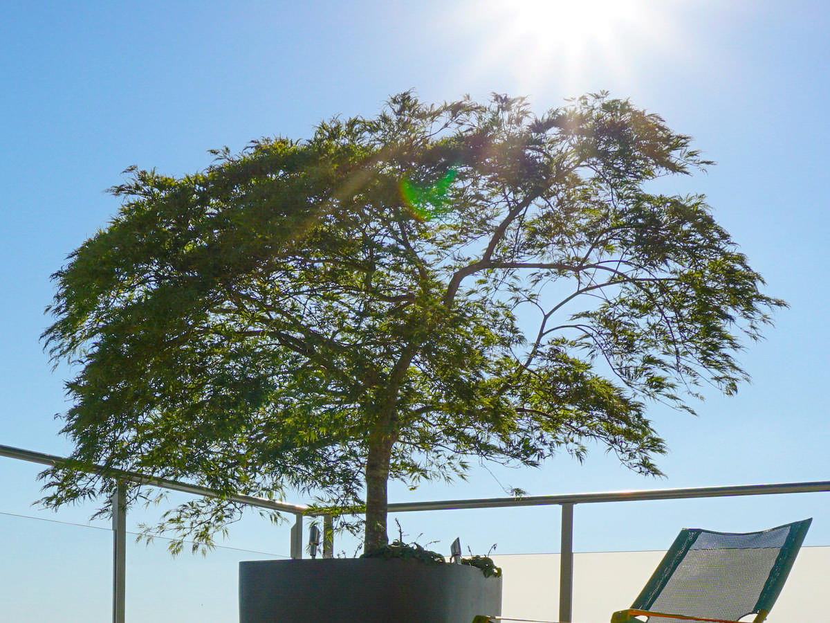 Silvedes AG, Bellevue in Brütten