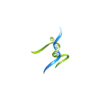 Regenerative Solutions of NJ