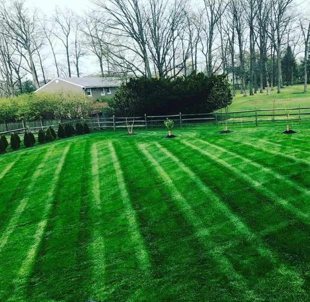 Images Goode's Lawn & Landscape LLC