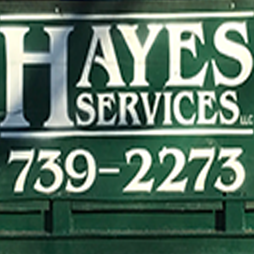 Images Hayes Services LLC | Dumpster Rental | Tree Removal | Junk Removal