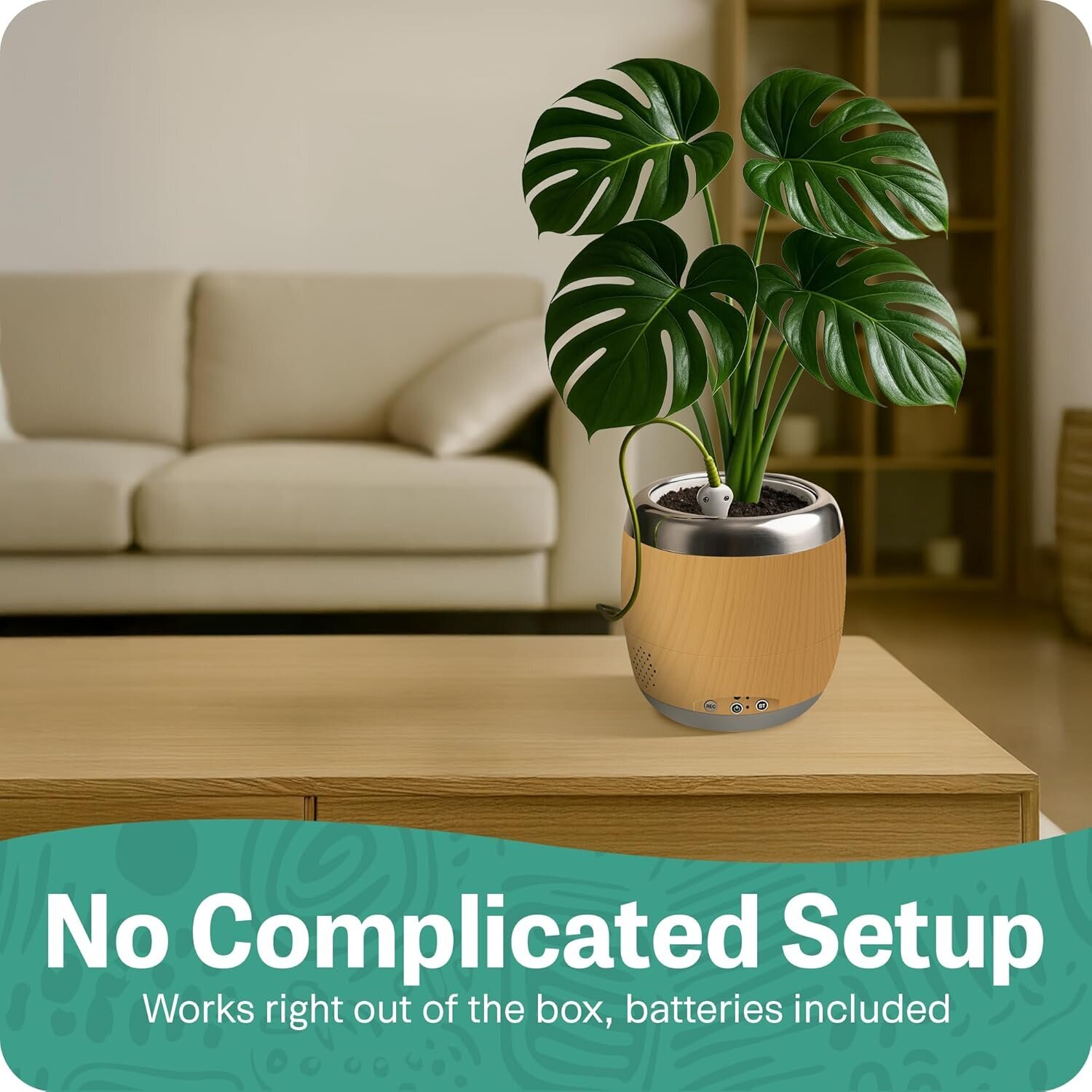 Bilder hello tomorrow UG (haftungsbeschränkt)