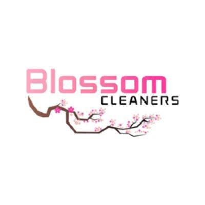 Blossom Cleaners LLC Logo