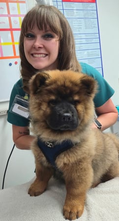 Images VCA Wingate Animal Hospital