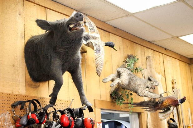 Images Riverside Magnum Range