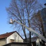 Schmidt Garten- und Landschaftsbau GmbH, Malvenweg 7 in Geretsried