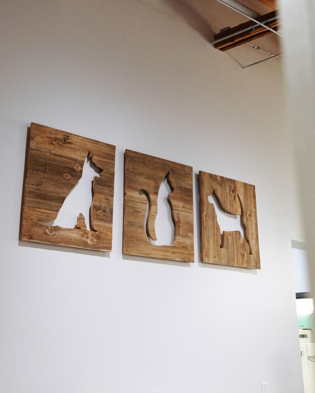 Images Solomon Veterinary Clinic