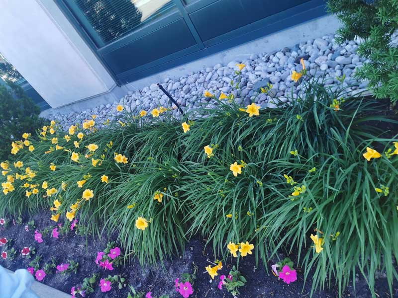 Images Green Ontario landscaping & snow removal