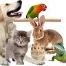 Market North Veterinary Hospital