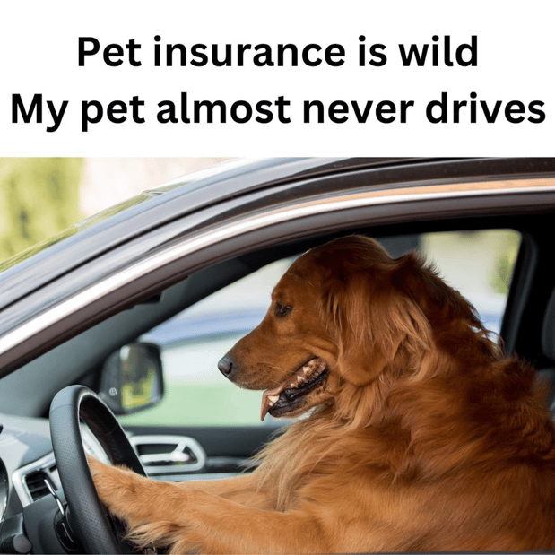 Images Lee Hudson - State Farm Insurance Agent