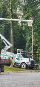 Images Broken Branch Tree Service LLC