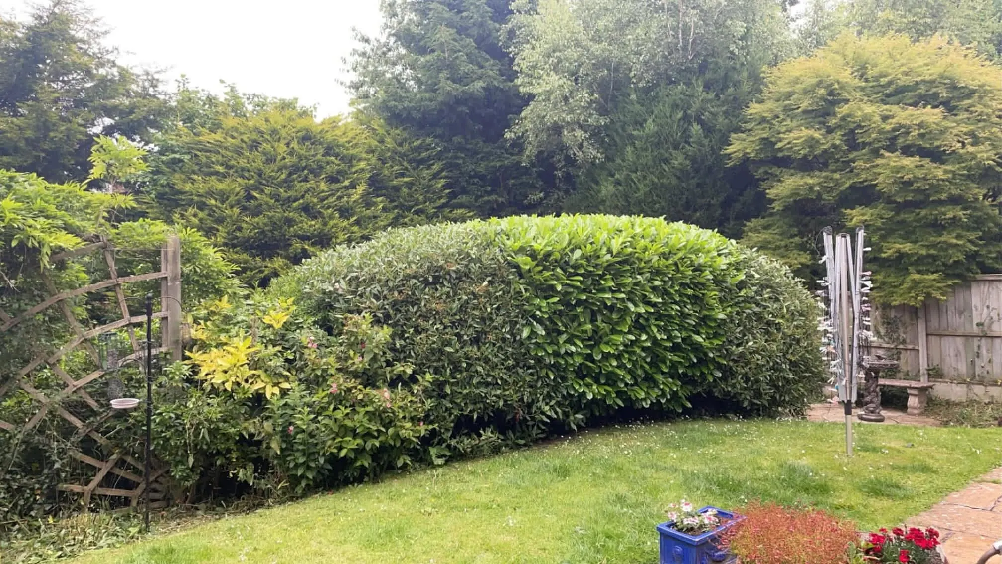 Images Oakwood Tree & Landscaping Services