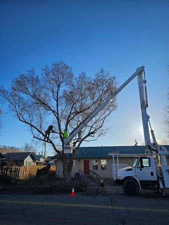 Images H & S Tree Care