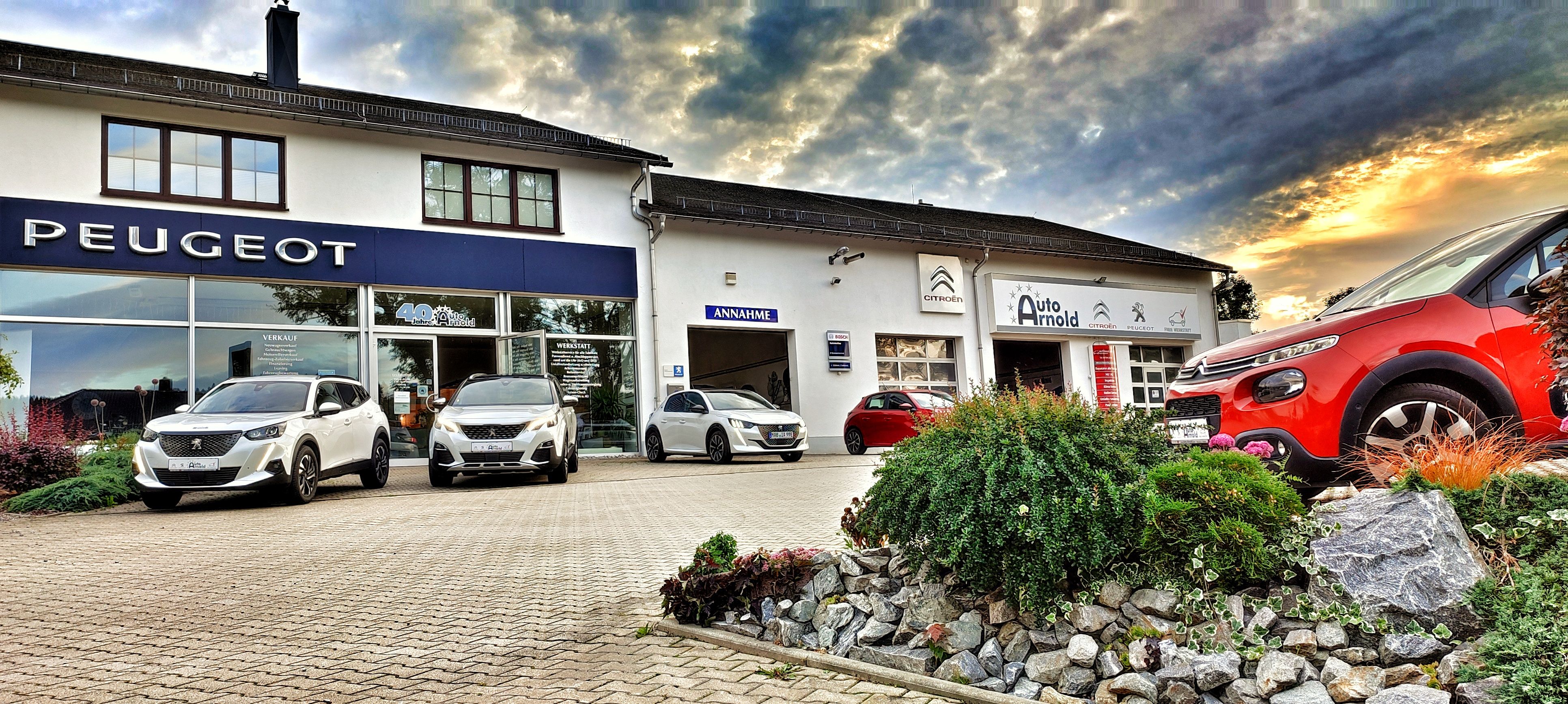 Ingo Arnold Auto Arnold e.K. in Olbernhau - Logo