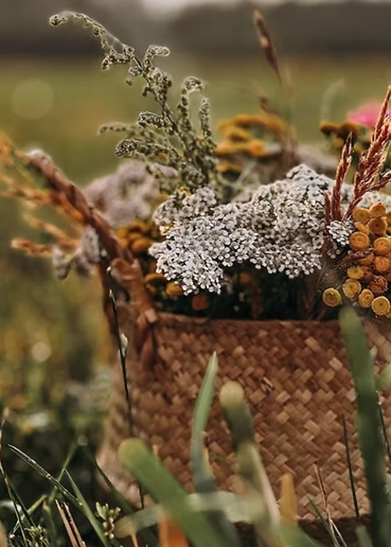 Images ERA blommor och inredning