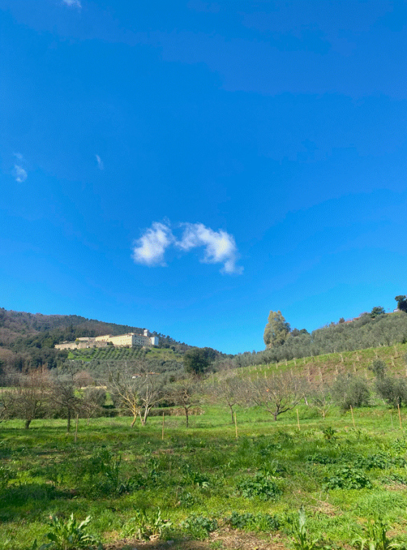 Images Terre Armoniche