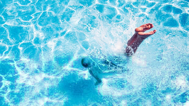 Images Bethany Farms