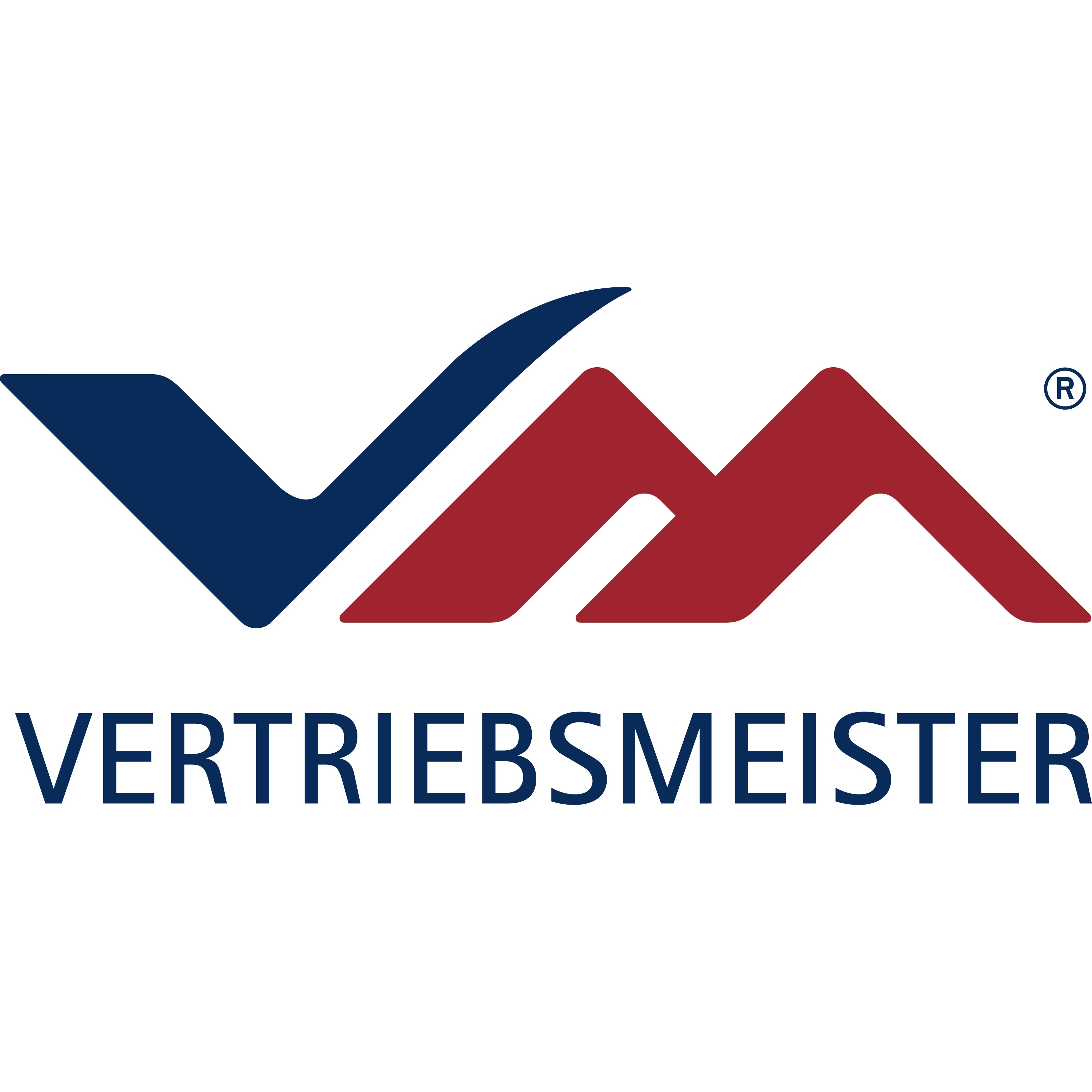 VERTRIEBSMEISTER  Training/Coaching/Beratung Logo