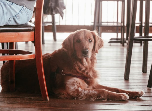 Images Duck Inn Taproom
