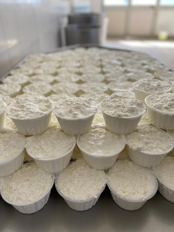 Images Caseificio Perri