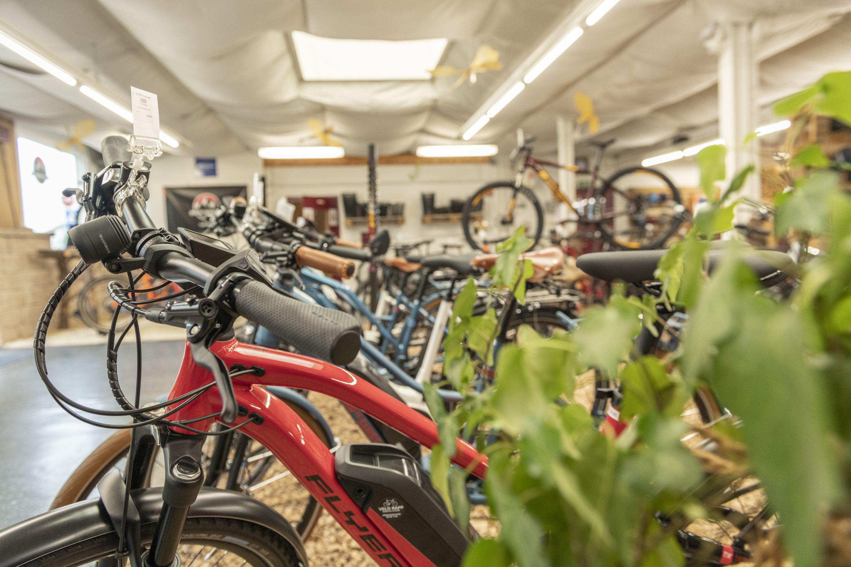 VELO RAPP GmbH, Wangenstrasse 44 in Herzogenbuchsee