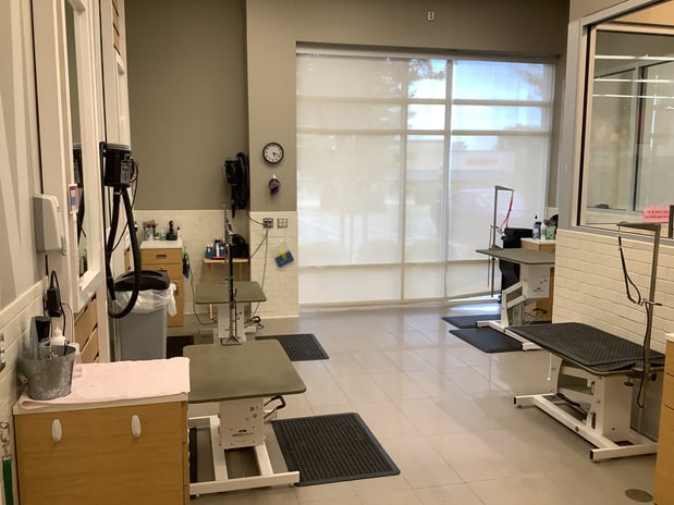 Images Petco Grooming
