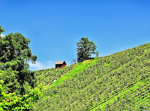 Images Michael Watz Photography