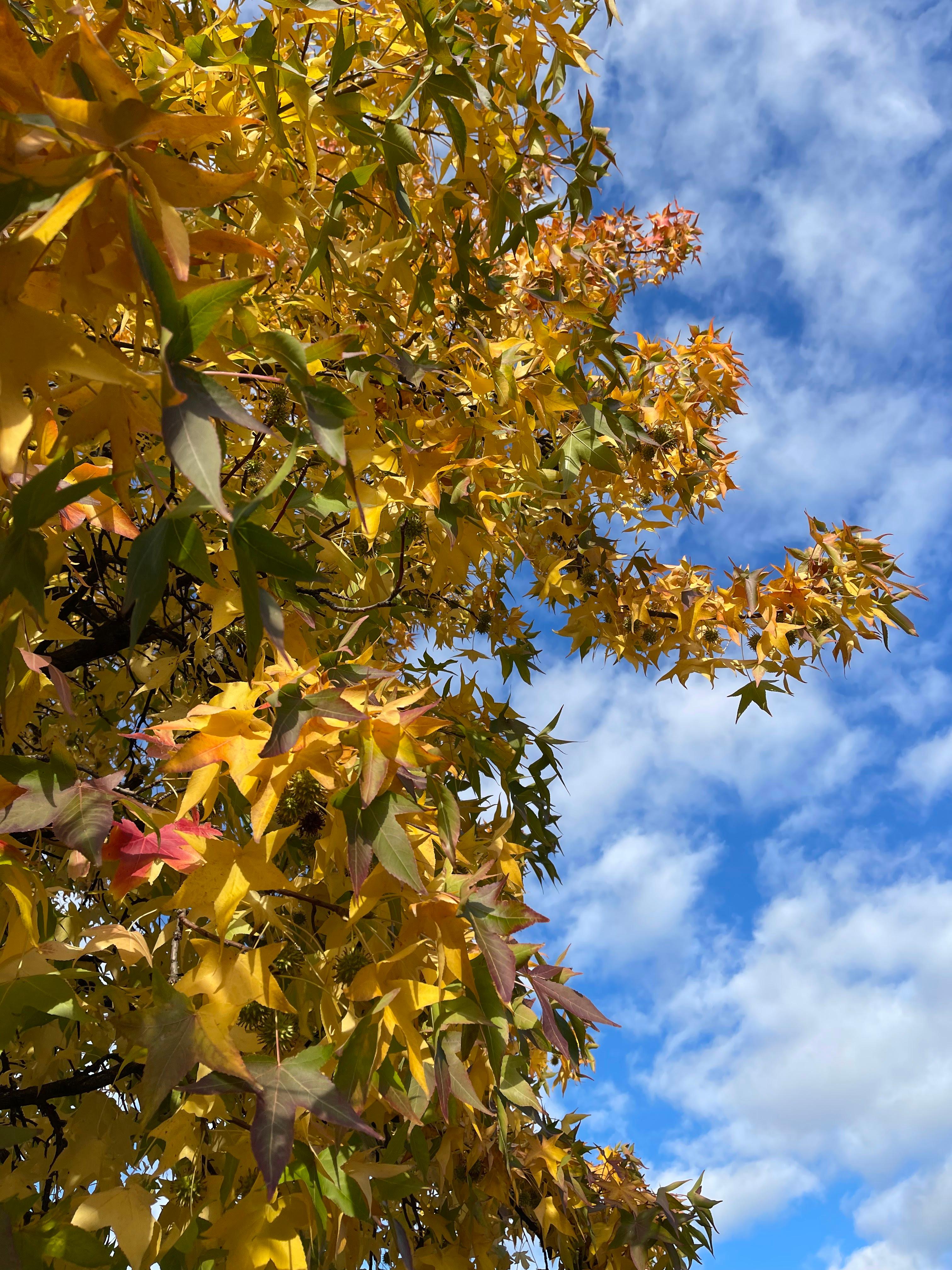 Bilder NaturPur Events - Outdoor Activities