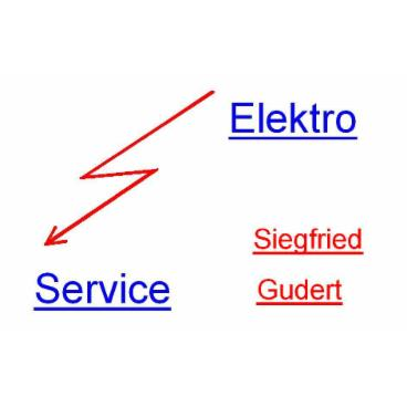Logo Elektro Service Siegfried Gudert