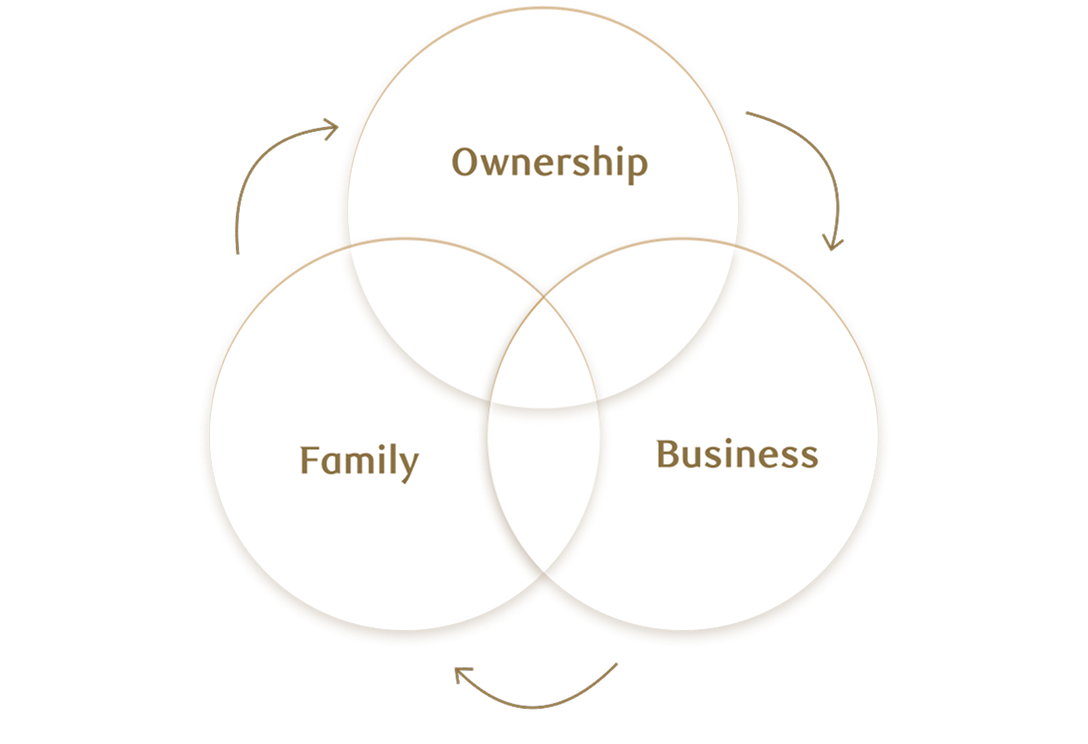 Venn diagram illustrating the intersection of family, business and ownership.