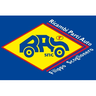 Ras Ricambi Auto Logo