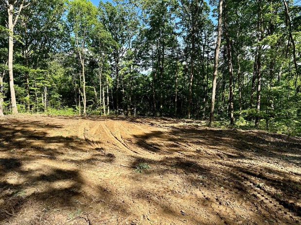 Images Whitzell Excavation