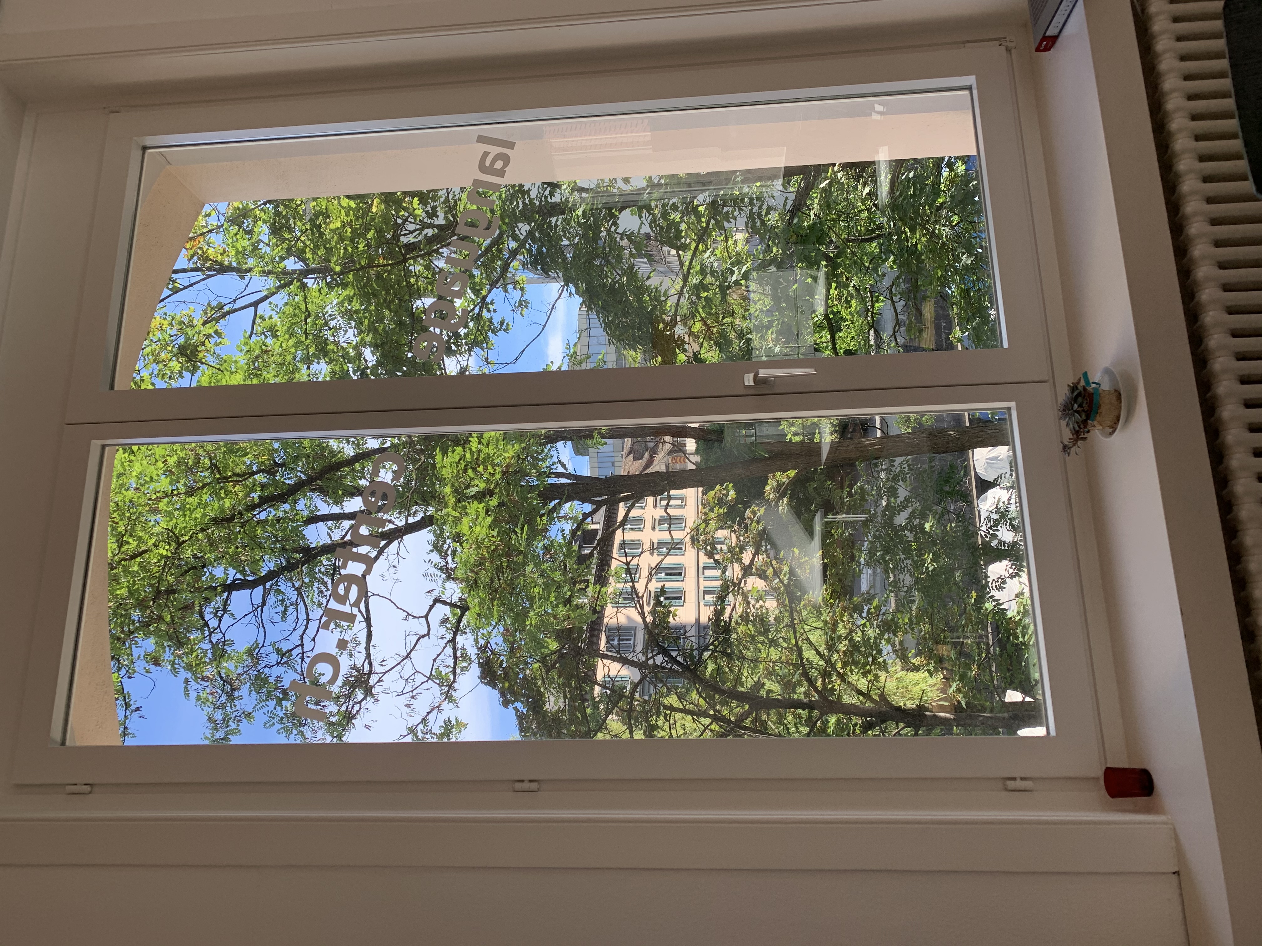 professional language center, Am Schanzengraben 15 in Zürich