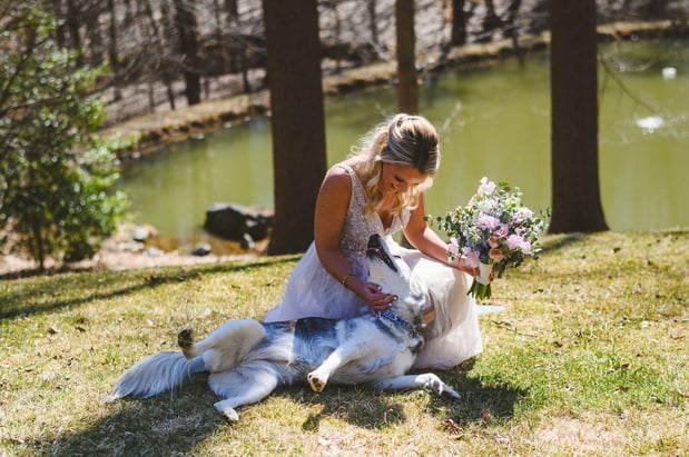 Images Martin Reardon Photography